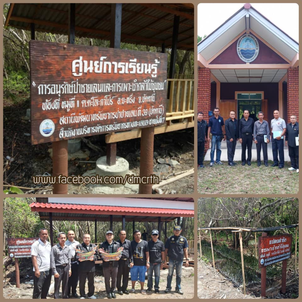 นำชมความสำเร็จการอนุรักษ์ป่าชายเลนปัตตานี
