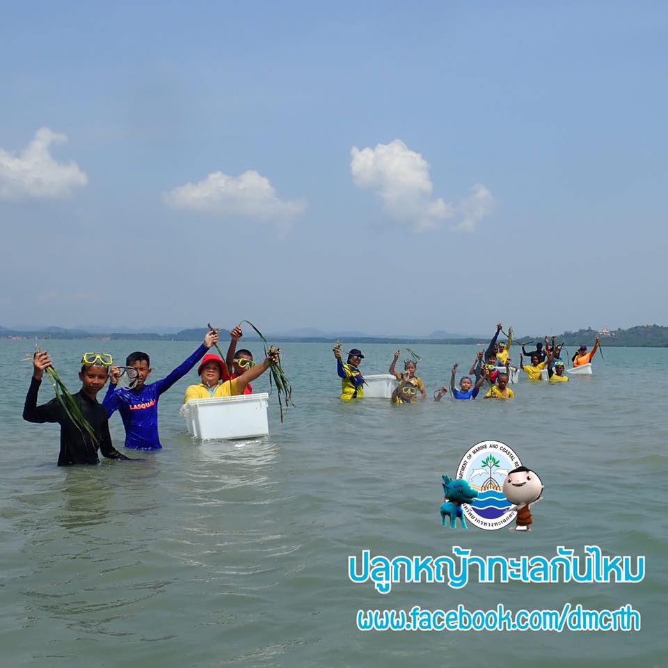 สวัสดี พี่น้องเครือข่ายรักษ์ทะเลไทย