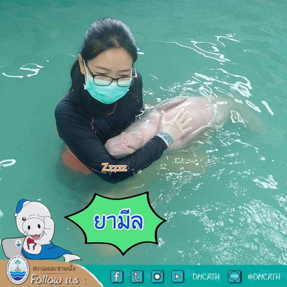 พี่เลี้ยงดูแลอย่างดี ยามีล กินดี ร่าเริงมีความสุข
