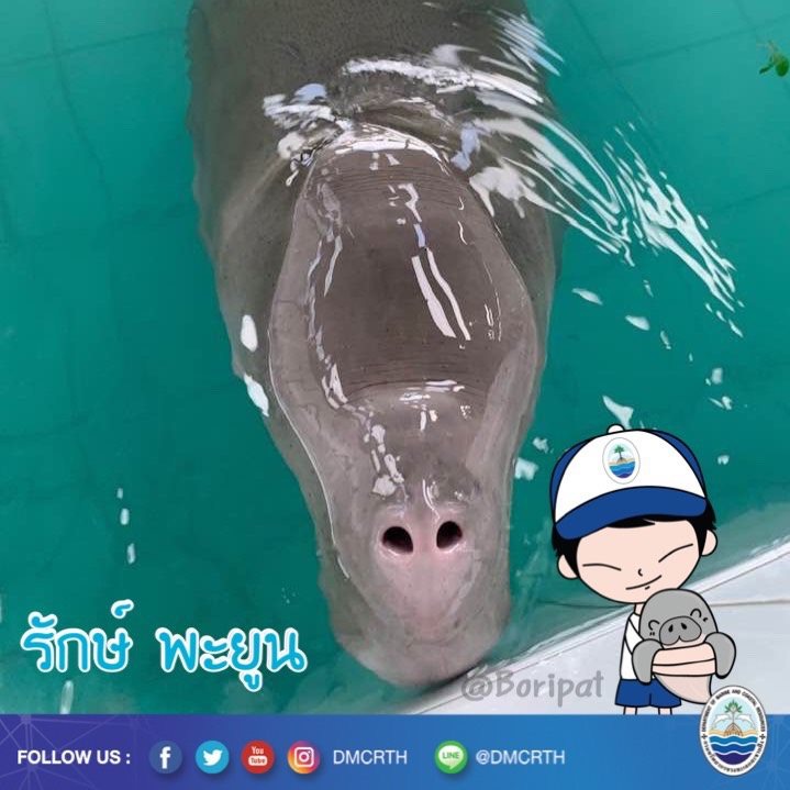สวัสดี พี่น้องเครือข่ายรักษ์ทะเลไทย