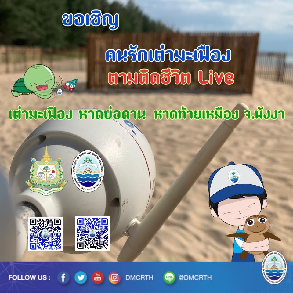 พร้อมแล้วจ้า ทช. ขอเชิญคนรักเต่ามะเฟืองมาดูมาแลกัน