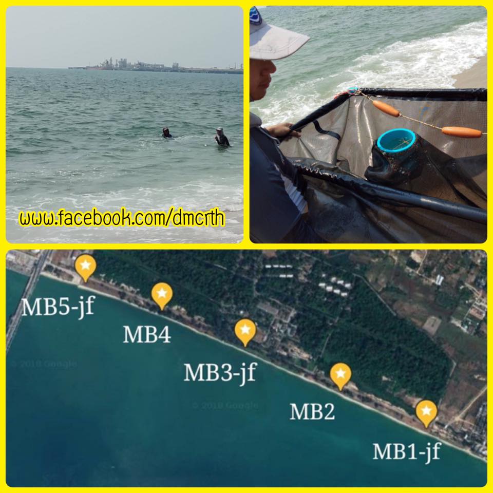 คุณภาพน้ำทะเลหาดค่ายมหาสุรสิงหนาท อยู่ในเกณฑ์มาตรฐาน