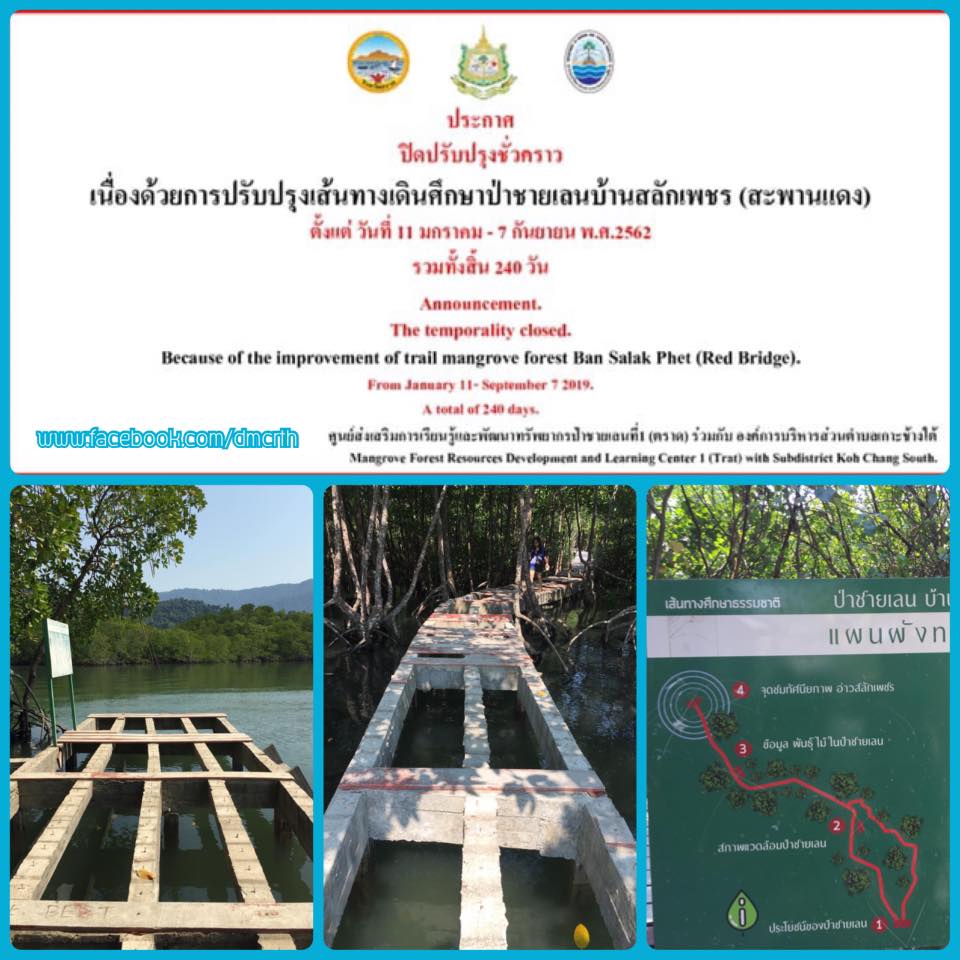 แจ้งข่าวประชาสัมพันธ์จาก ป่าชายเลนบ้านสลักเพชร