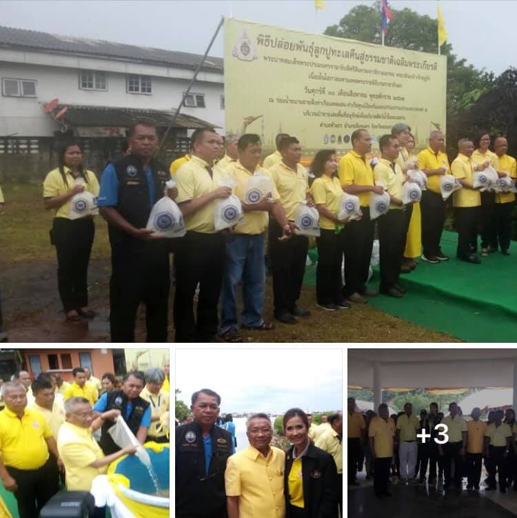 ปล่อยหลากพันธุ์ปูทะเลคืนธรรมชาติบ้านหัวเขา สงขลา