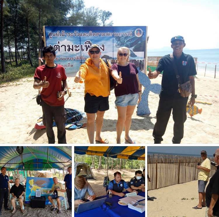 กลับมาอีกครั้งหลุมไข่หาดท้ายเหมือง หลังแม่เต่าขึ้นวางไข่เพิ่ม