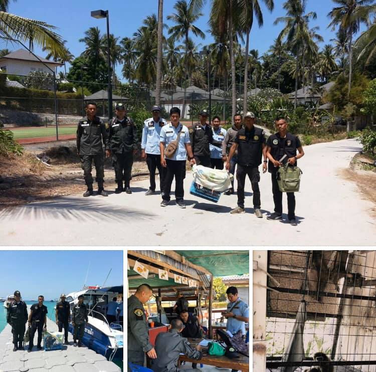 สนธิกำลังจับกุมผู้กระทำความผิดลักลอบครอบครองชะนี ภูเก็ต