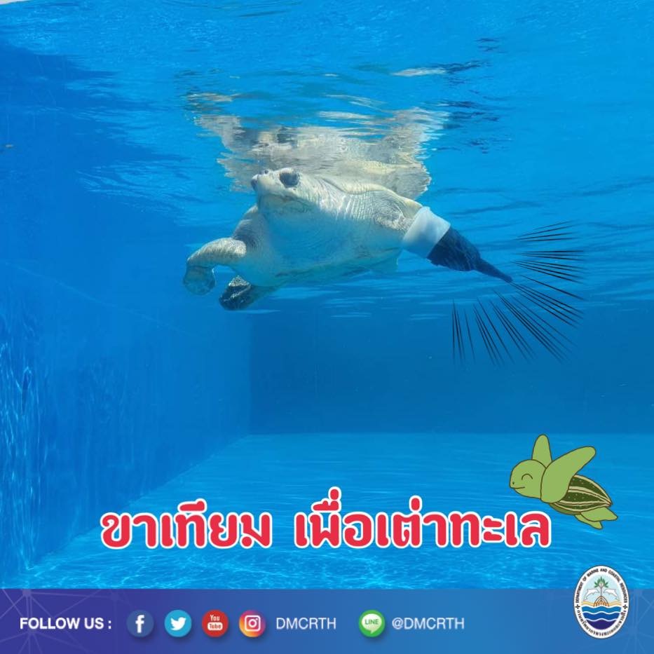 สวัสดี พี่น้องเครือข่ายอนุรักษ์ทะเลไทย