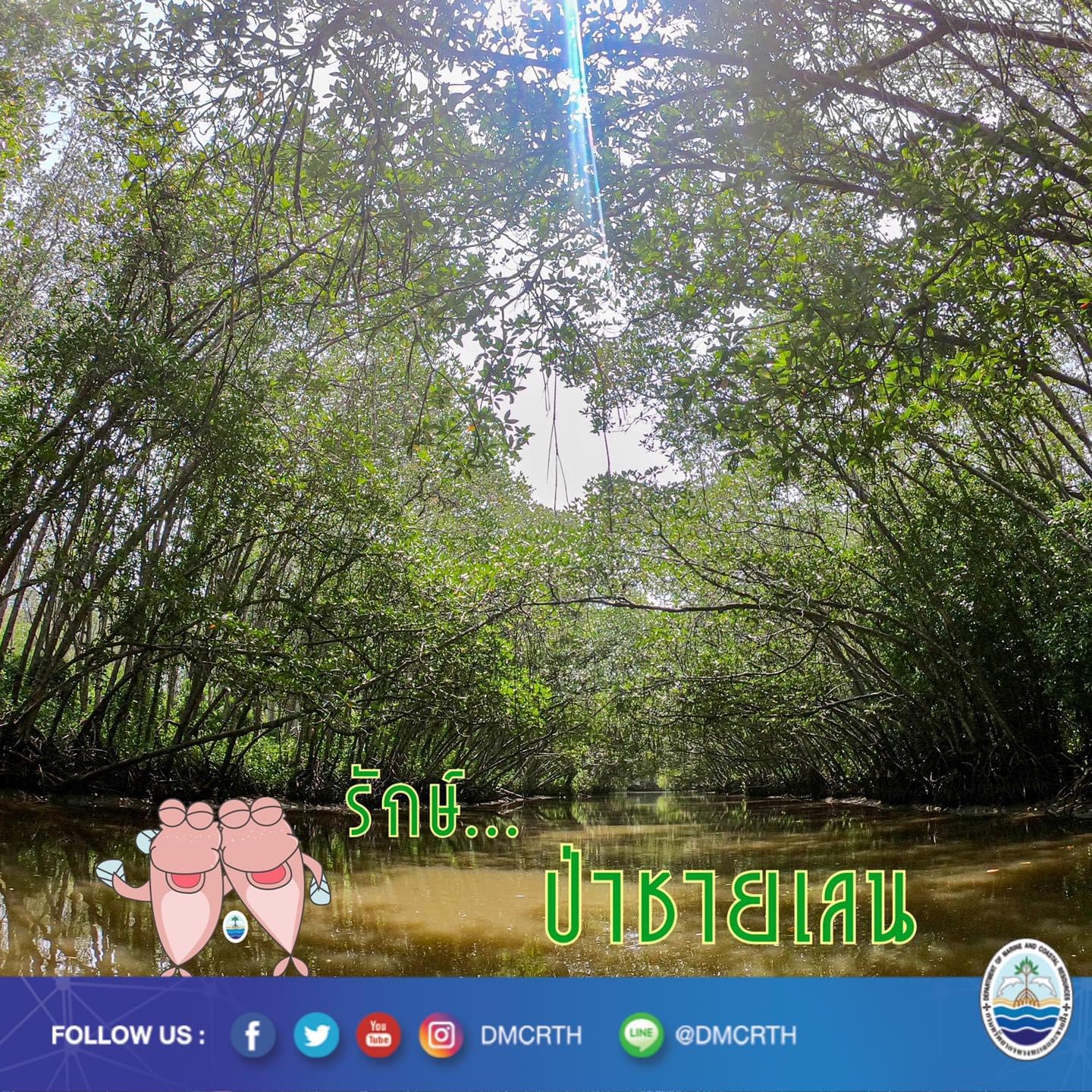 สวัสดี พี่น้องเครือข่ายอนุรักษ์ทะเลไทย