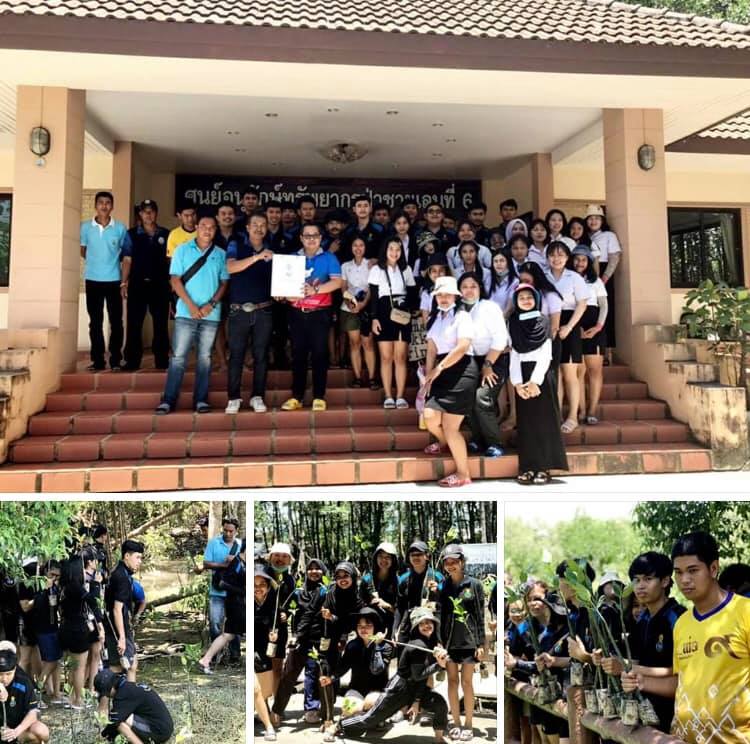 นำน้อง ม.ทักษิณ ลงดินปลูกป่าชายเลนระนอง