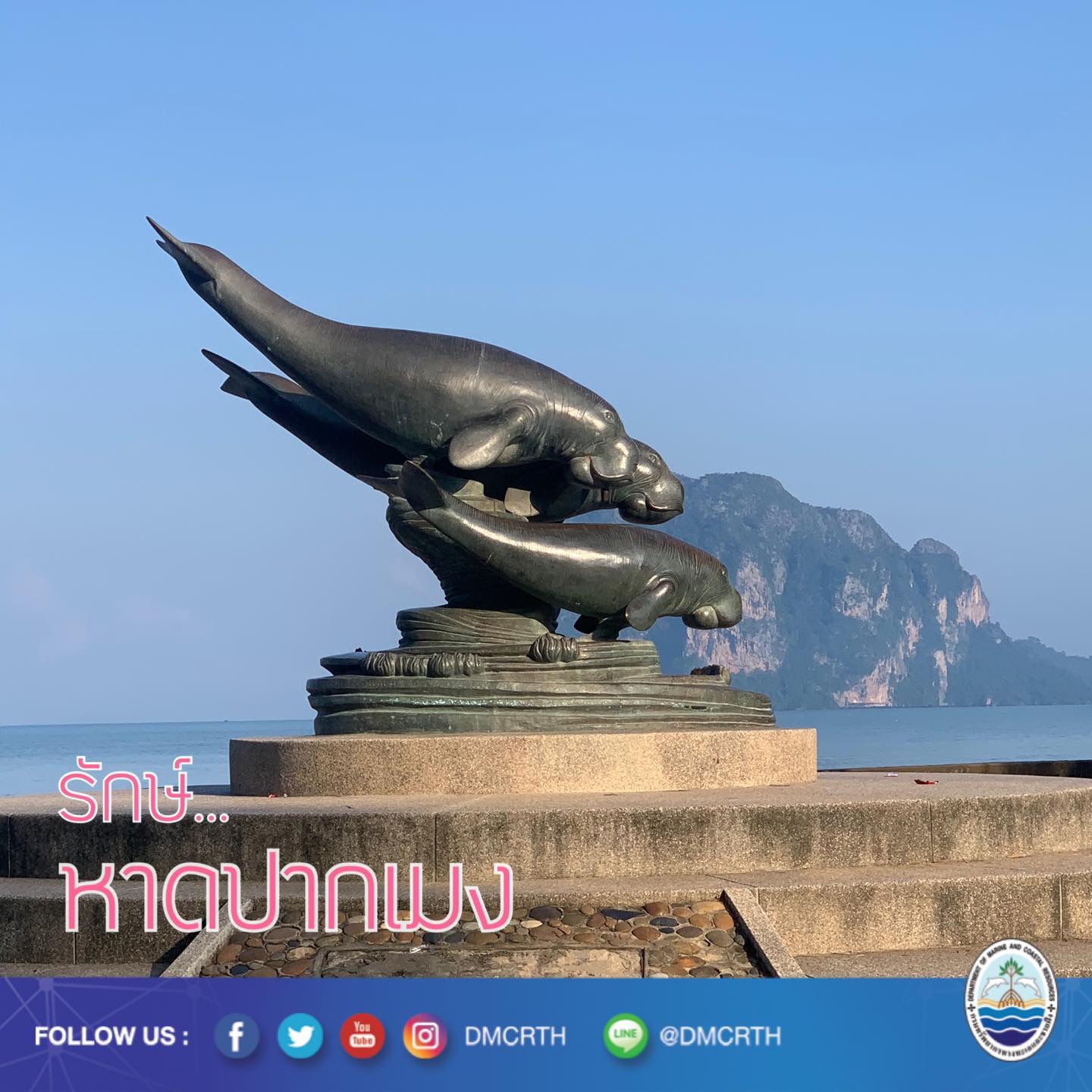 สวัสดี พี่น้องเครือข่ายอนุรักษ์ทะเลไทย