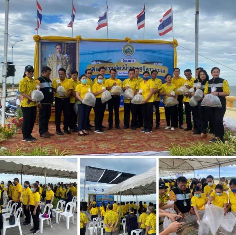 เพิ่มปริมาณสัตว์น้ำเศรษฐกิจทางทะเล ถวายเป็นพระราชกุศล ร.๙