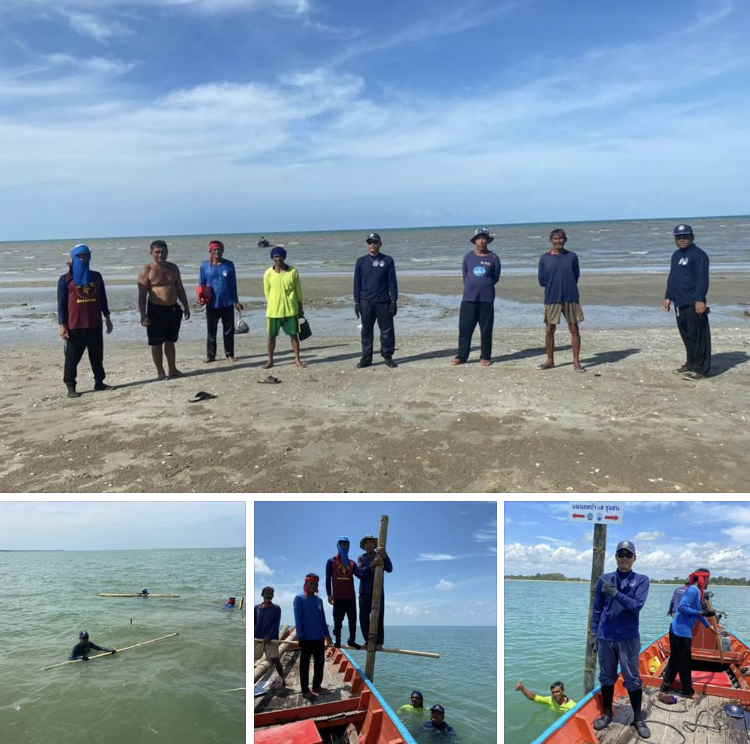 ร่วมกันอนุรักษ์สัตว์น้ำ ทะเลบ้านหาดสมบูรณ์ สุราษฎร์ธานี
