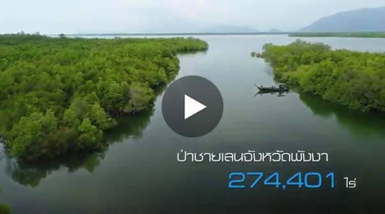 พังงา เมืองแห่งป่าชายเลน