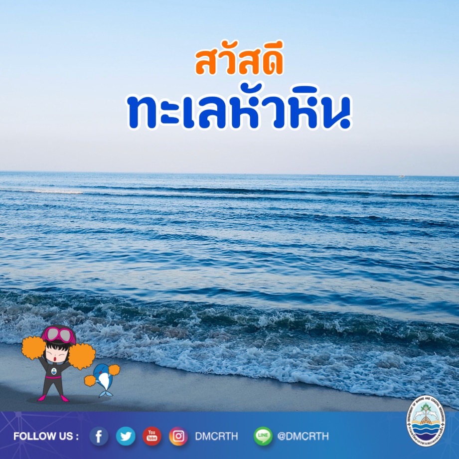 สวัสดี พี่น้องเครือข่ายอนุรักษ์ทะเลไทย
