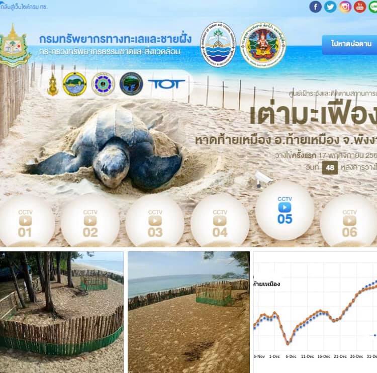อย่าลืมน้องเต่ามะเฟือง เริ่มนับถอยหลังวันฟักช่วงวันเด็กนี้