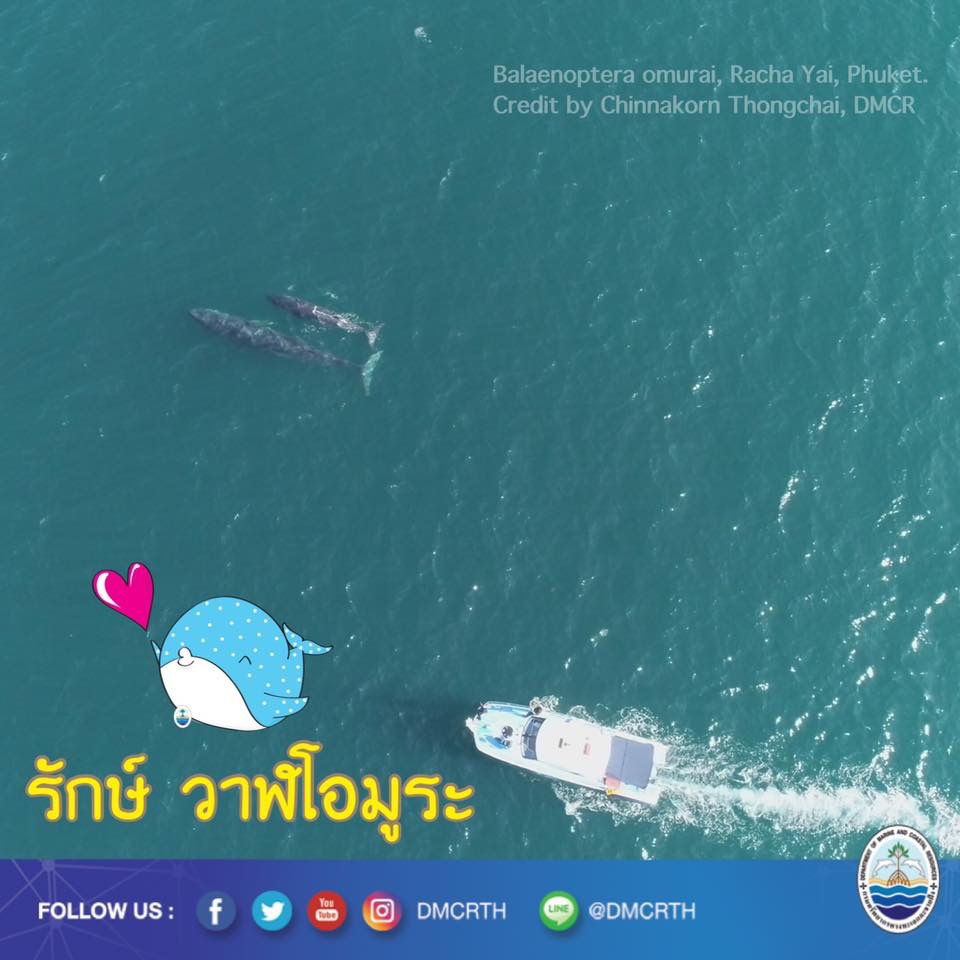 สวัสดี พี่น้องเครือข่ายอนุรักษ์ทะเลไทย