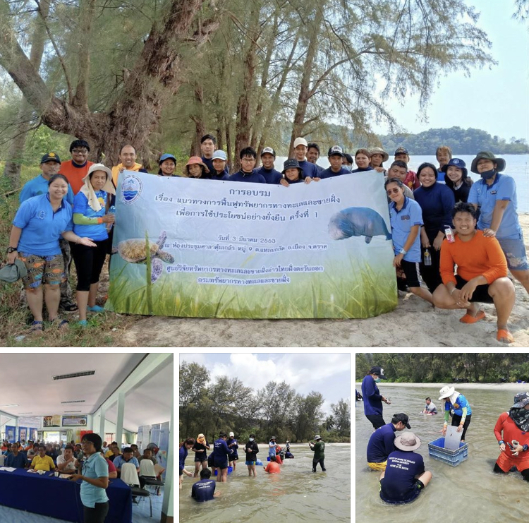 จัดทำพื้นที่นำร่องด้านการอนุรักษ์ Blue economy ตราด