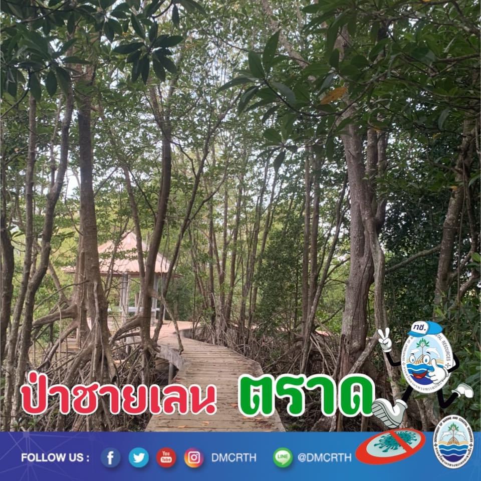 สวัสดี พี่น้องเครือข่ายอนุรักษ์ทะเลไทย