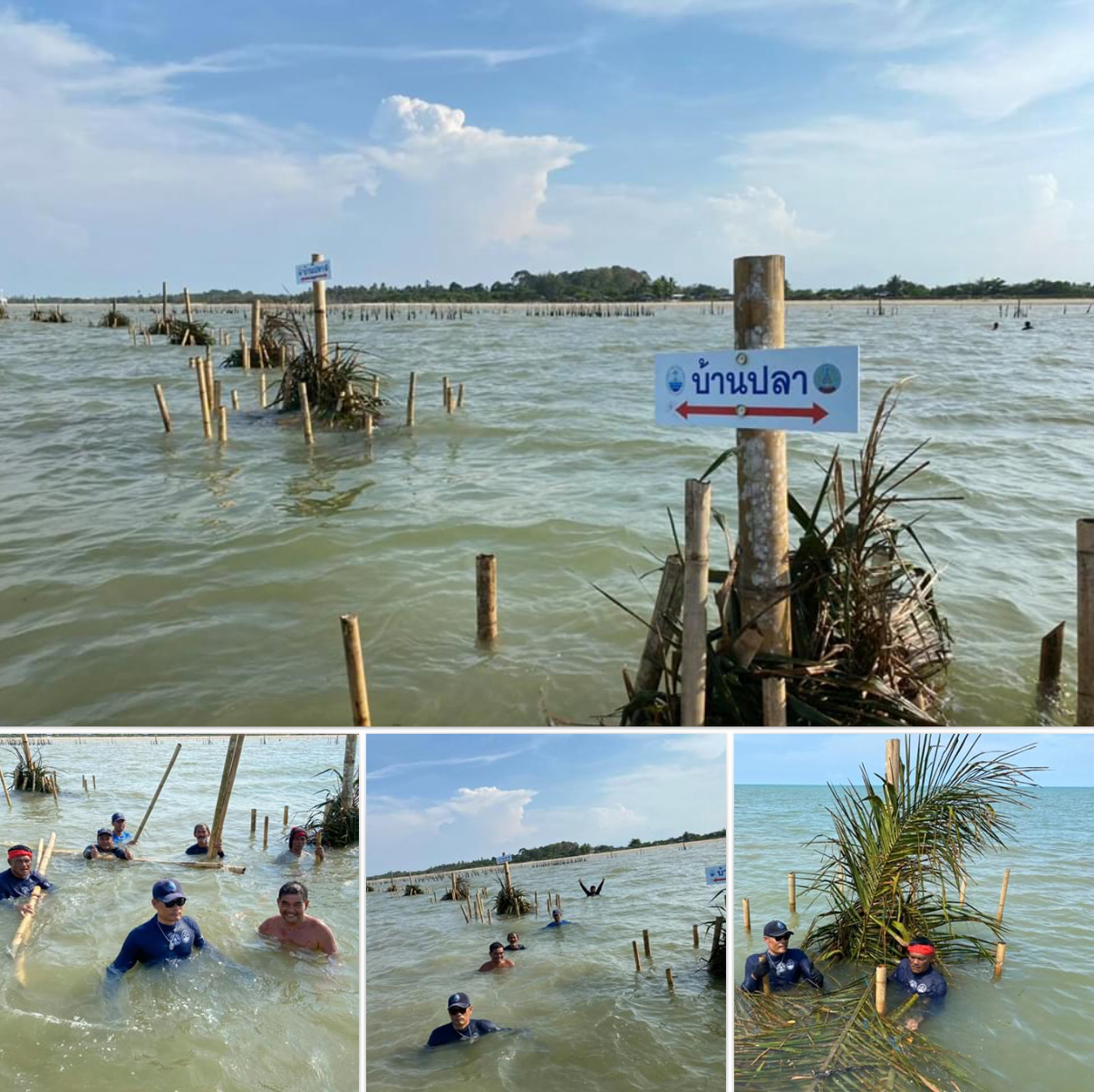 ฟื้นฟูชายฝั่ง จัดทำบ้านปลาบ้านหาดสมบูรณ์ สุราษฎร์ธานี