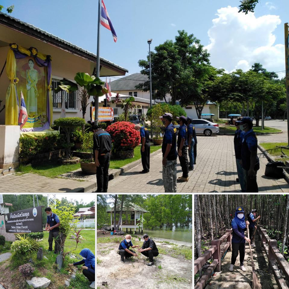 ปลูกป่าชายเลนเมืองสตูล เฉลิมพระเกียรติ