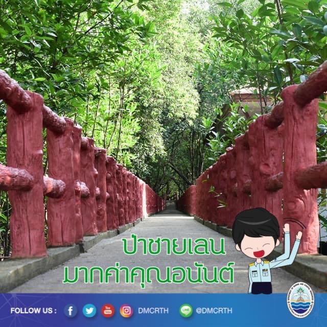 สวัสดี พี่น้องเครือข่ายอนุรักษ์ทะเลไทย