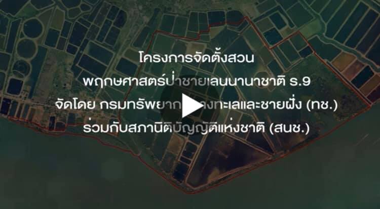 สวนพฤกษศาสตร์ป่าชายเลนนานาชาติ ร.๙ ตอนที่ ๓/๓