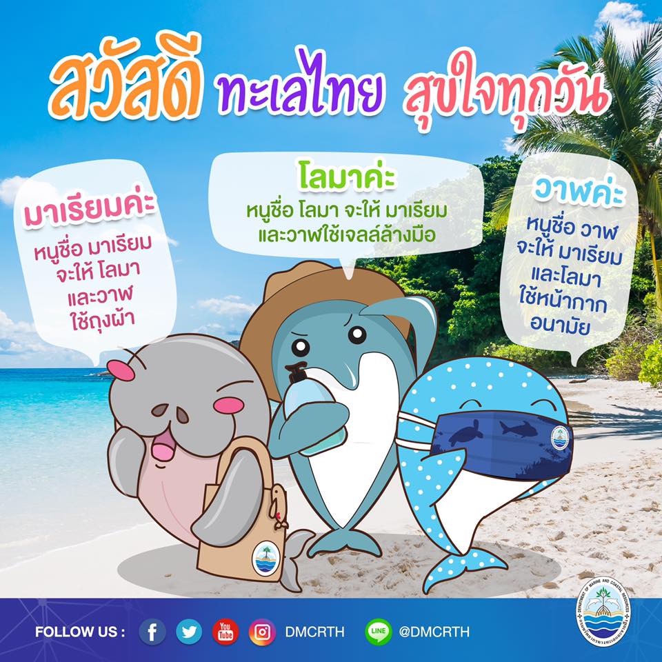 สวัสดี พี่น้องเครือข่ายอนุรักษ์ทะเลไทย