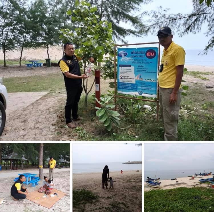 แนะนำเสาน้ำส้ม ป้องกันภัยแมงกะพรุนพิษชายหาดบ่ออิฐ