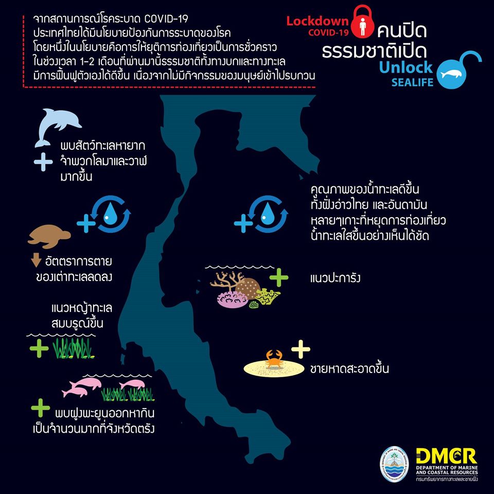 ๗ ข้อดีจากโควิด-๑๙ ทะเลไทยสวยขึ้น คุณว่ามั้ย