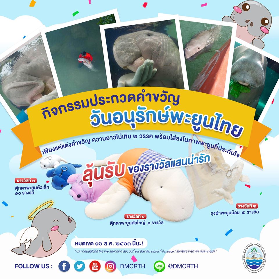 เดือนนี้รักษ์พะยูน ร่วมกิจกรรมดีดีกับเพจกรม ทช.