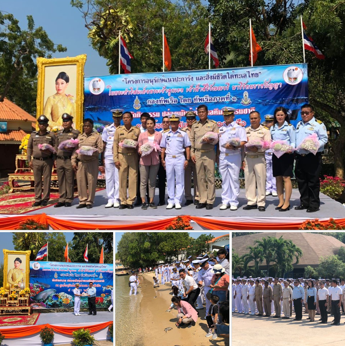 ปล่อยเต่าคืนทะเล โครงการอนุรักษ์ในพระดำริฯ ทะเลสัตหีบ