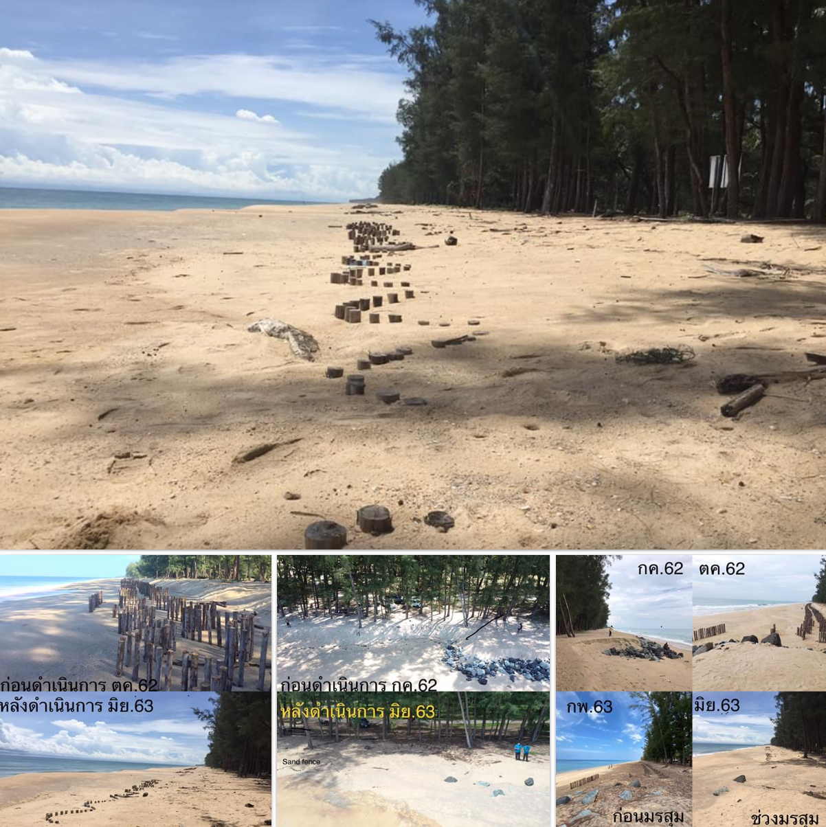 รั้วดักทรายหาดท้ายเหมือง ชะลอการกัดเซาะได้ผล
