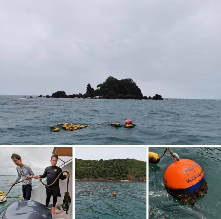 วางทุ่นเพิ่ม ลดการทำลายปะการังเกาะทะลุ เกาะสิงห์-สังข์