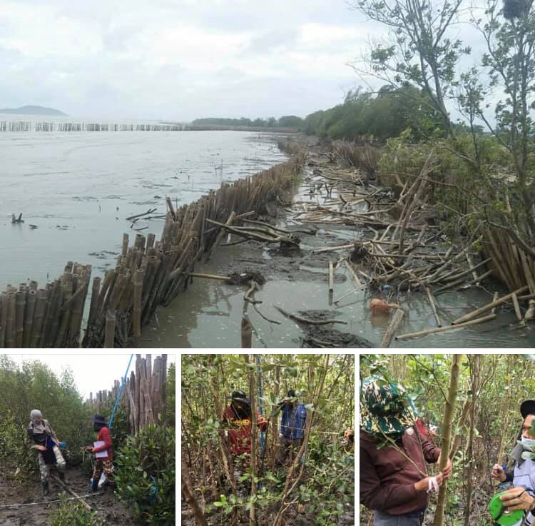 ติดตามการเปลี่ยนแปลงชายฝั่งทะเลบ้านเกาะแมว จันทบุรี