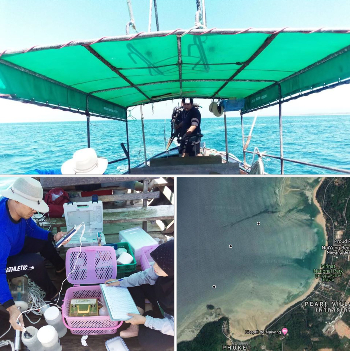 น้ำทะเลหาดในยางภูเก็ต อยู่ในเกณฑ์ปกติ