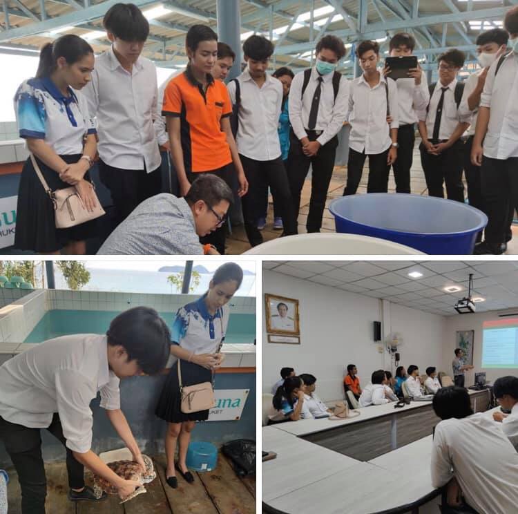 เตรียมพร้อมให้ความรู้น้องๆ ในการอนุรักษ์เต่าทะเลที่ถูกต้อง