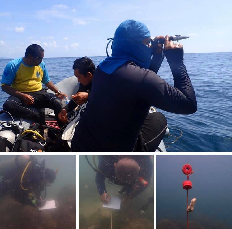 สำรวจสถานภาพปะการังชุมพร เก็บ Data logger