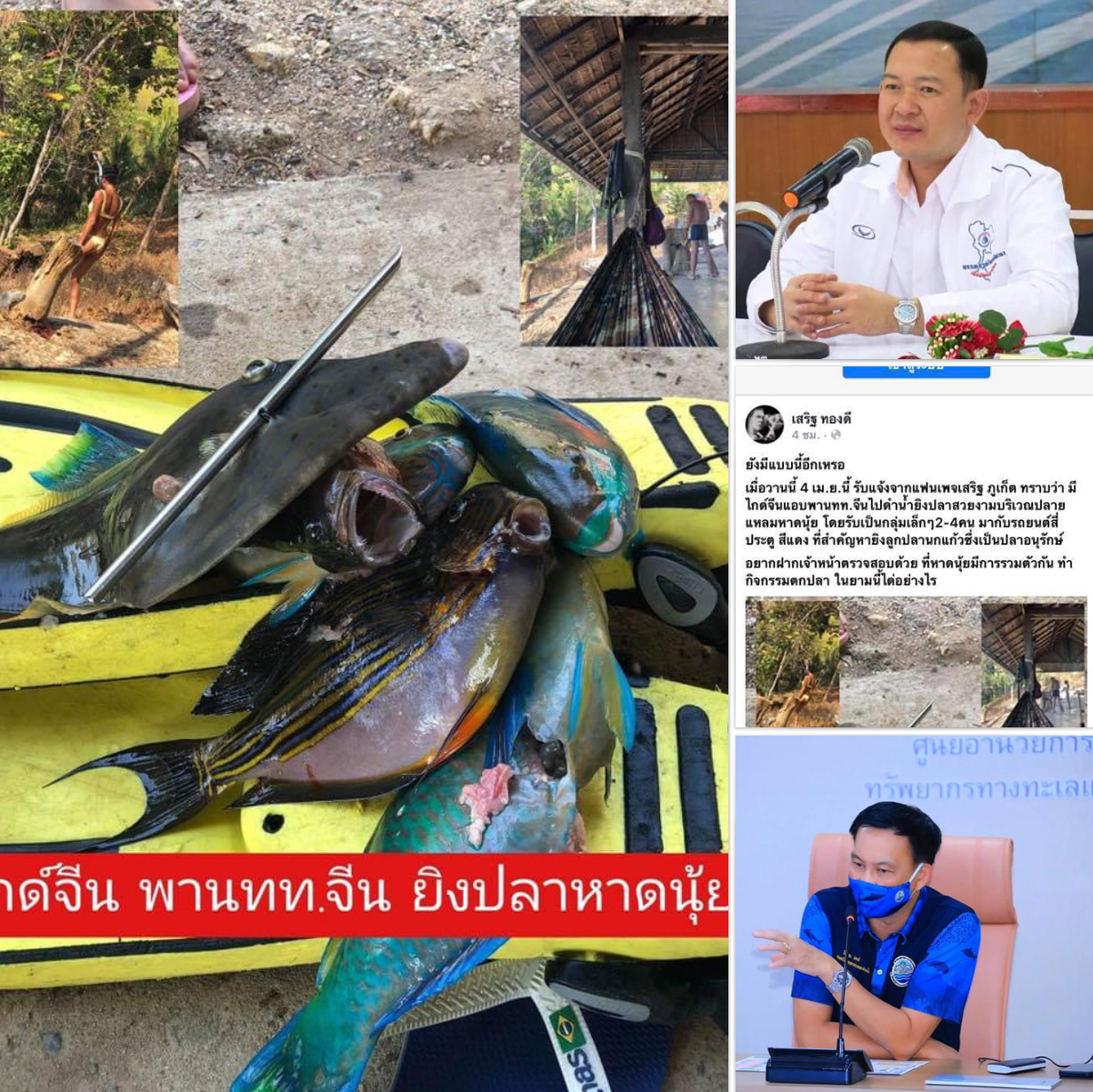 ยุทธพล ที่ปรึกษา รมว. ทส. สั่งจัดการนักท่องเที่ยวล่าปลาสวยงาม จ.ภูเก็ต กรม ทช. งัดกฎหมายจัดการถึงที่สุด