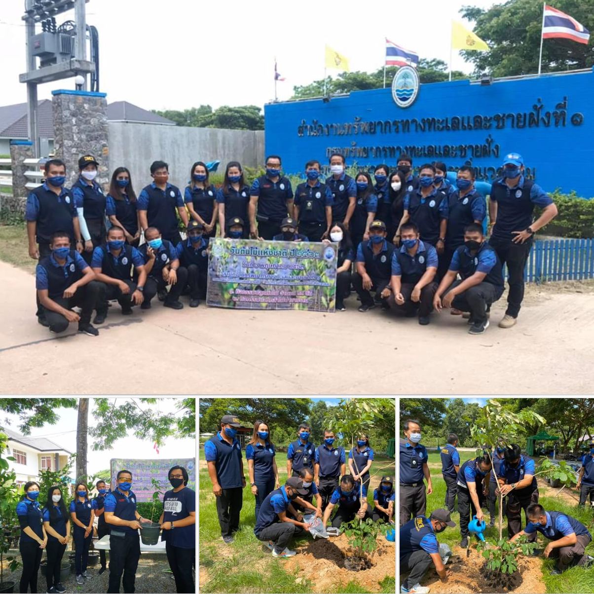 ร่วมอนุรักษ์สิ่งแวดล้อมเมืองระยอง เพิ่มพื้นที่สีเขียว