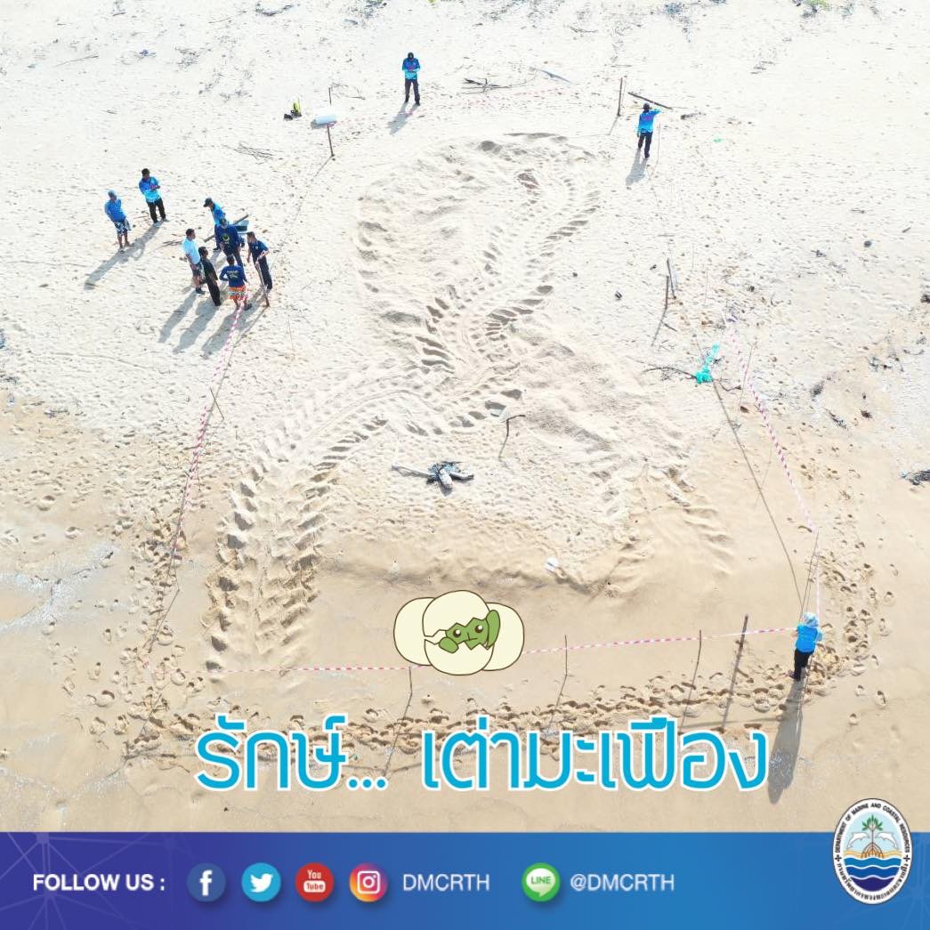 สวัสดี พี่น้องเครือข่ายอนุรักษ์ทะเลไทย