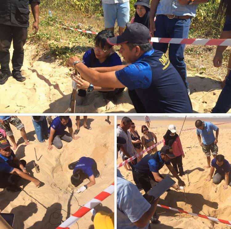 ติดตั้งเครื่องวัดอุณหภูมิ ดูพัฒนาการไข่เต่าหาดไม้ขาว ภูเก็ต