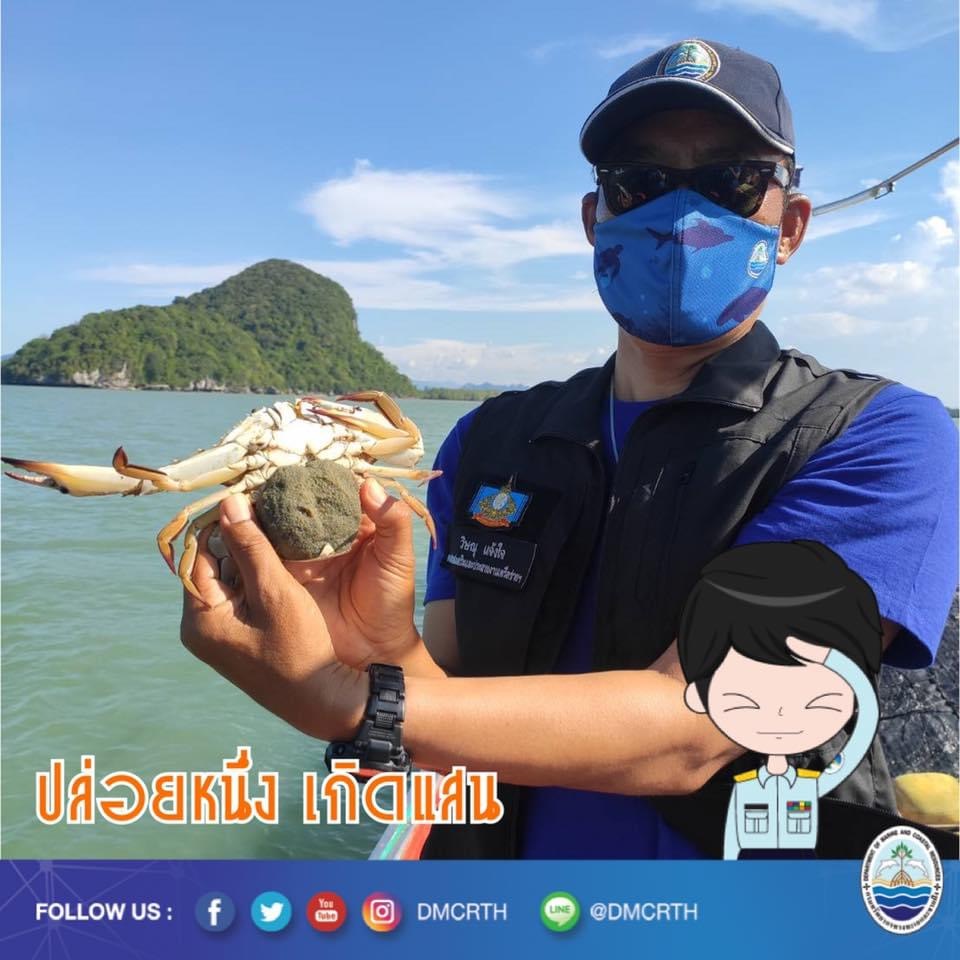 สวัสดี พี่น้องเครือข่ายอนุรักษ์ทะเลไทย