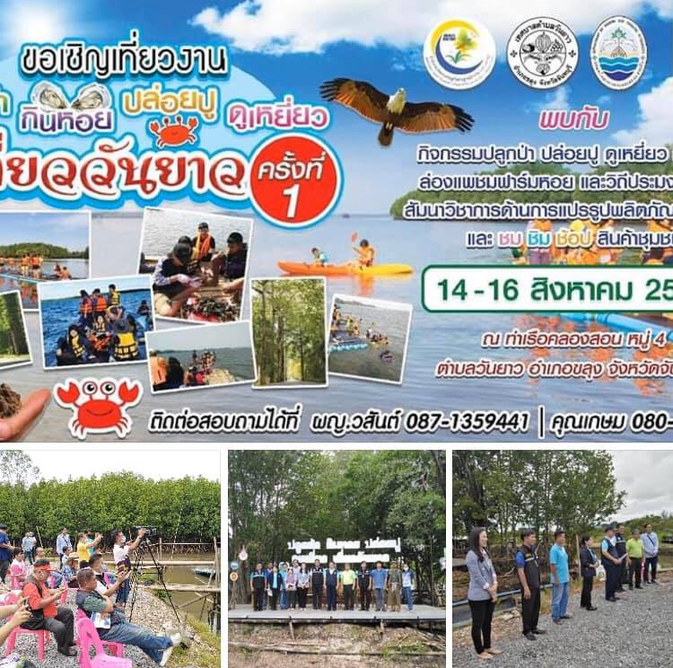 ทช. ชวนเที่ยวปลูกป่า กินหอย ดูปู ดูเหยี่ยว ของดีจันทบุรี