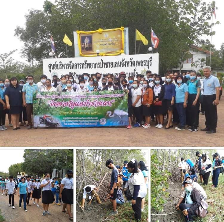 โครงการดีมีประโยชน์ จิตอาสาดูแลป่าชายเลนเพชรบุรี