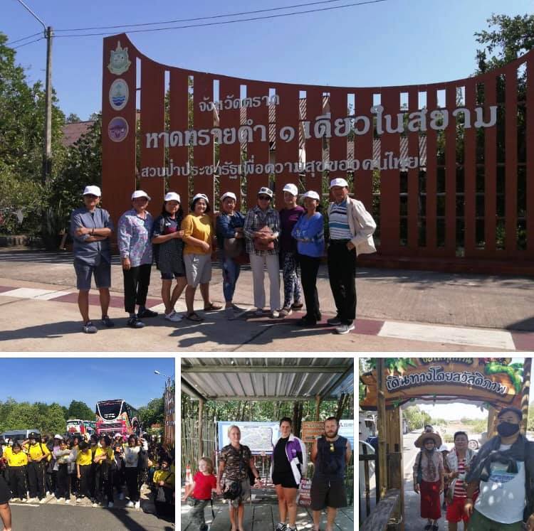 เชิญชวนเที่ยวชมป่าชายเลนหาดทรายดำเมืองตราด