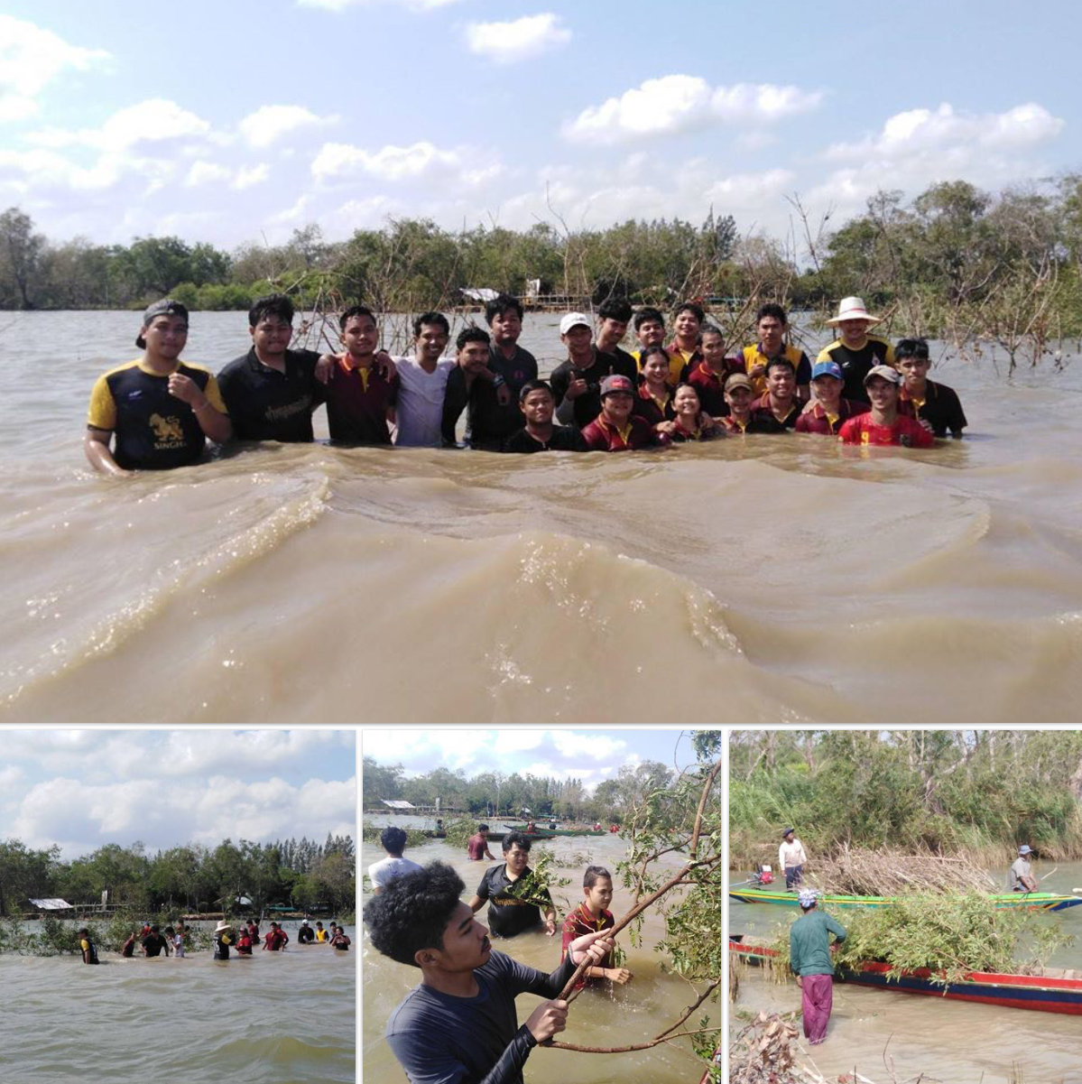 ชุมชนบางเหรียงพร้อมใจ ฟื้นฟูแหล่งอนุบาลสัตว์น้ำวัยอ่อน สงขลา