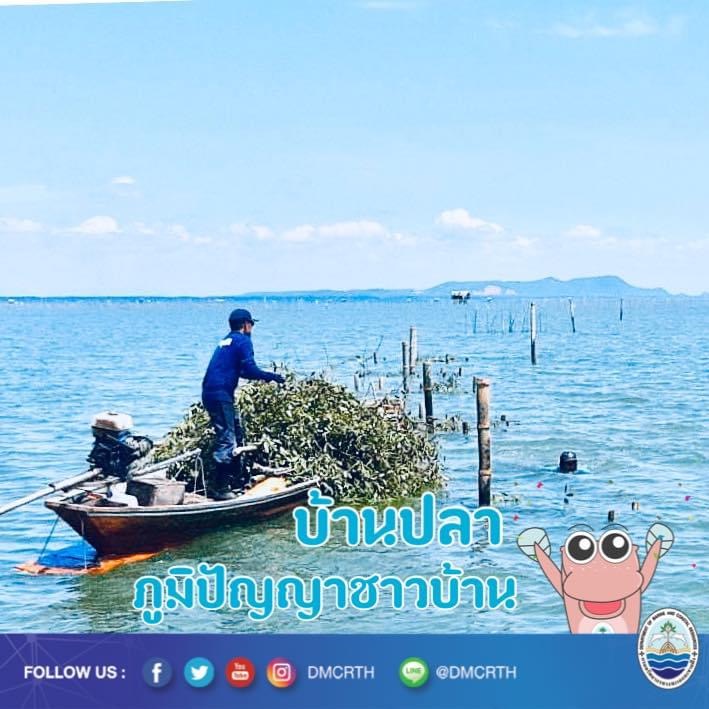 สวัสดี พี่น้องเครือข่ายอนุรักษ์ทะเลไทย