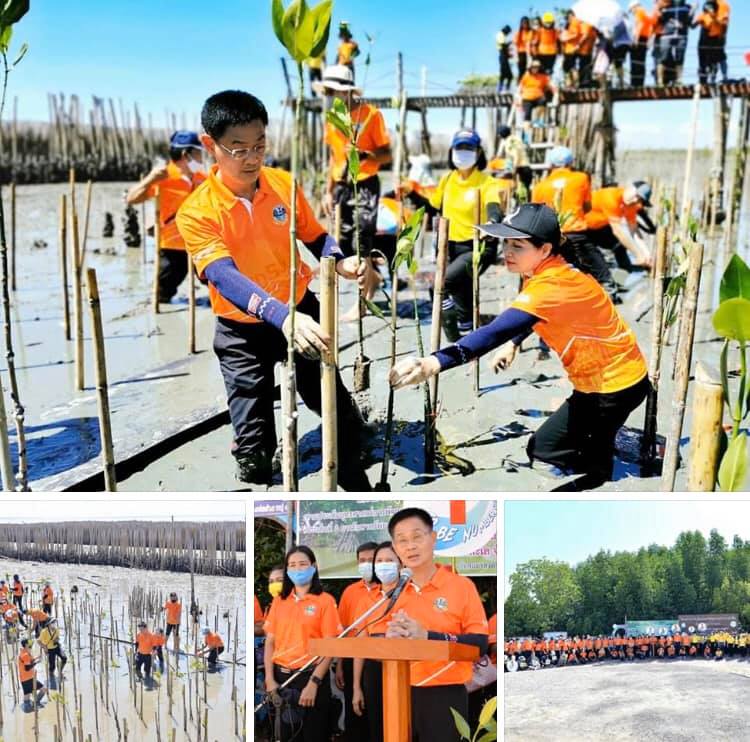 รวมพลัง TO BE NUMBER ONE ปลูกป่าชายเลนแม่กลอง
