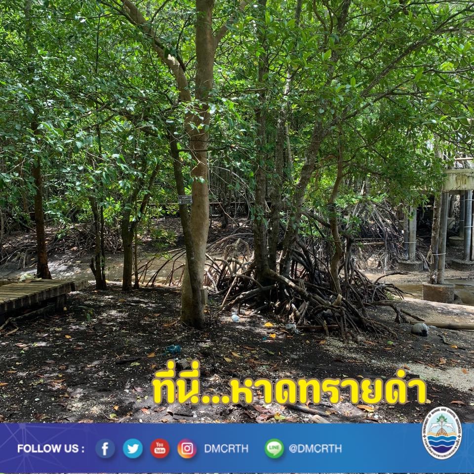 สวัสดี พี่น้องเครือข่ายอนุรักษ์ทะเลไทย