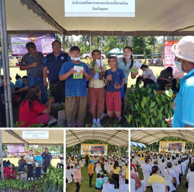 สนับสนุนกล้าโกงกางใบใหญ่บ้านน้ำลอด สุราษฎร์ธานี